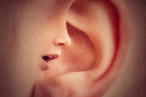 ear speech sound neuroscinecnews public