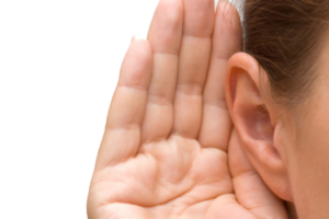 eight col ear PNG35705 1